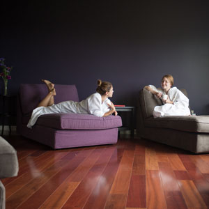 The programs featured image