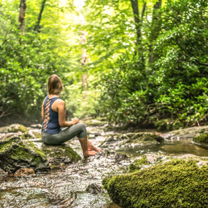 The programs featured image