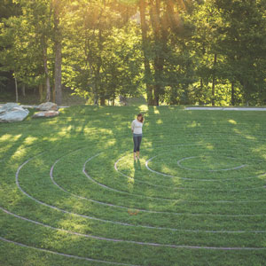 The programs featured image